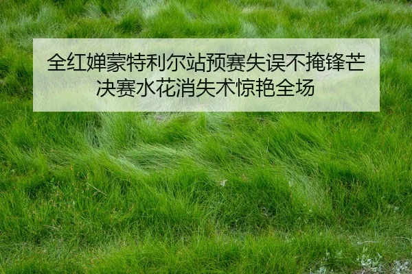 quan-hong-chan-meng-te-li-er-zhan-yu-sai-shi-wu-bu-yan-feng-mang-jue-sai-shui-hua-xiao-shi-shu-jing-yan-quan-chang-2-960.jpg