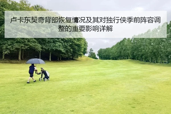 卢卡东契奇背部恢复情况及其对独行侠季前阵容调整的重要影响详解